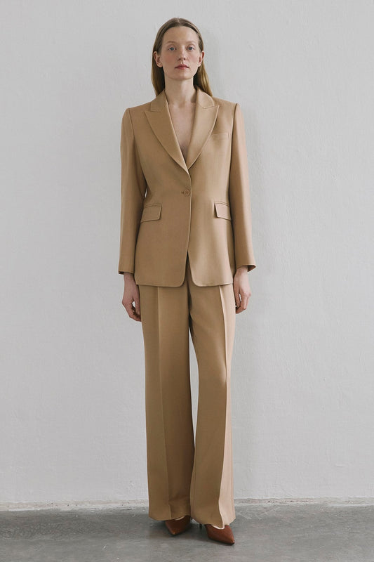 Crease Detail Pleated Wide Leg Pants