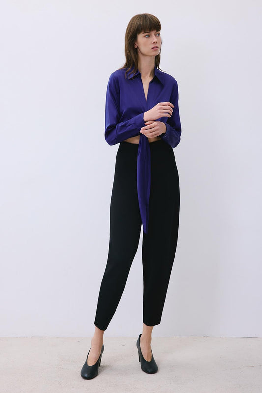 Silk Tie-Front Crop Shirt Blouse