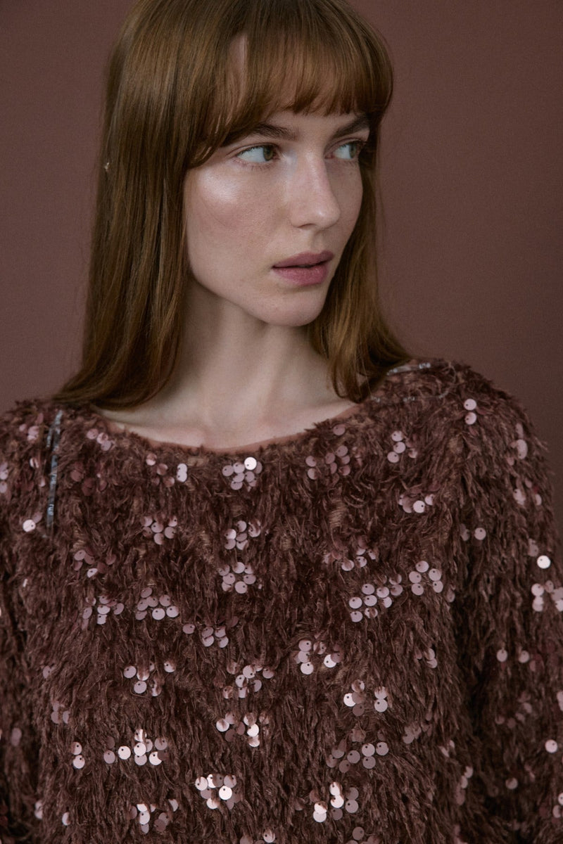 Boat Neck Sequin Embellished  Blouse