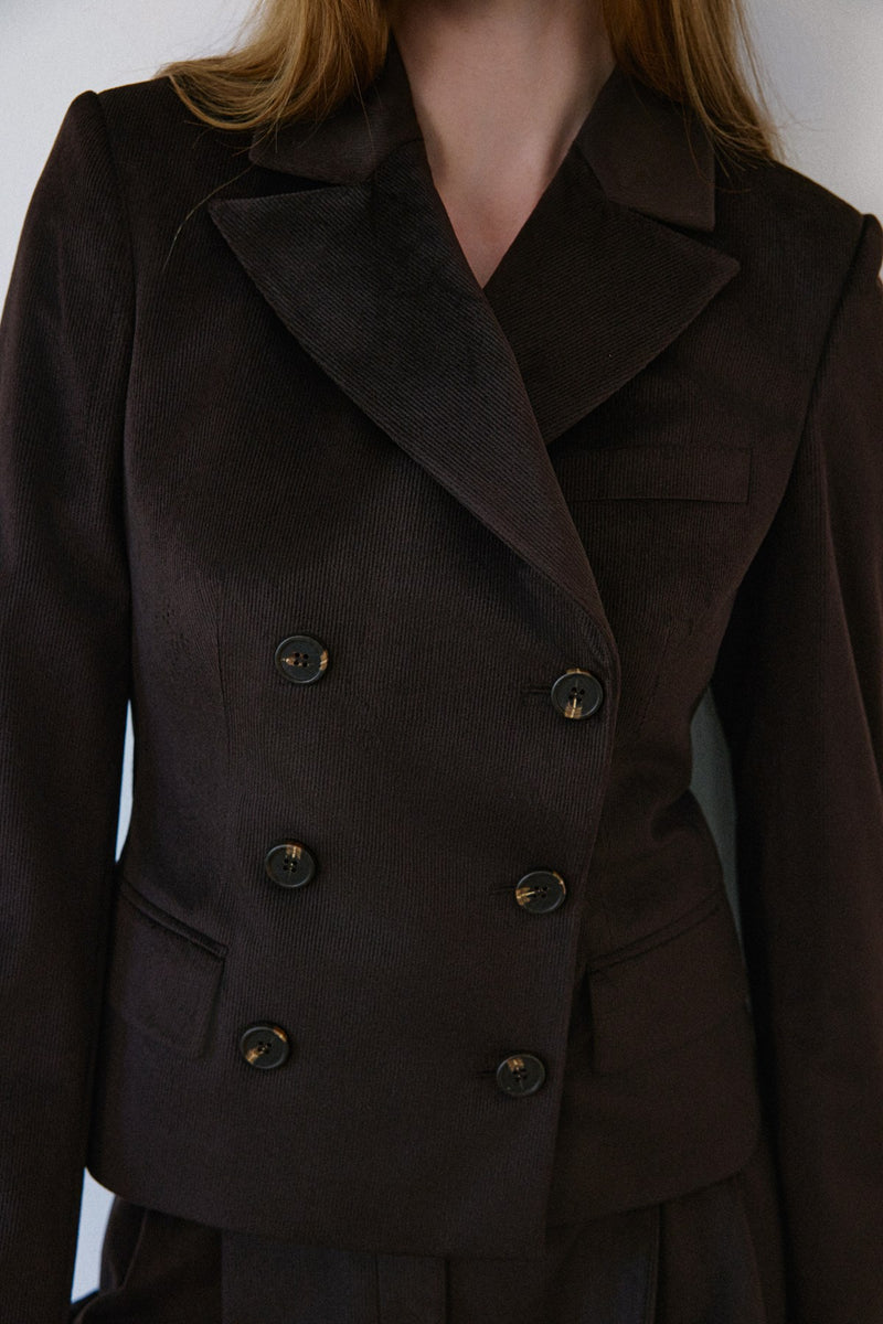 Double Breasted Lined Velvet  Blazer