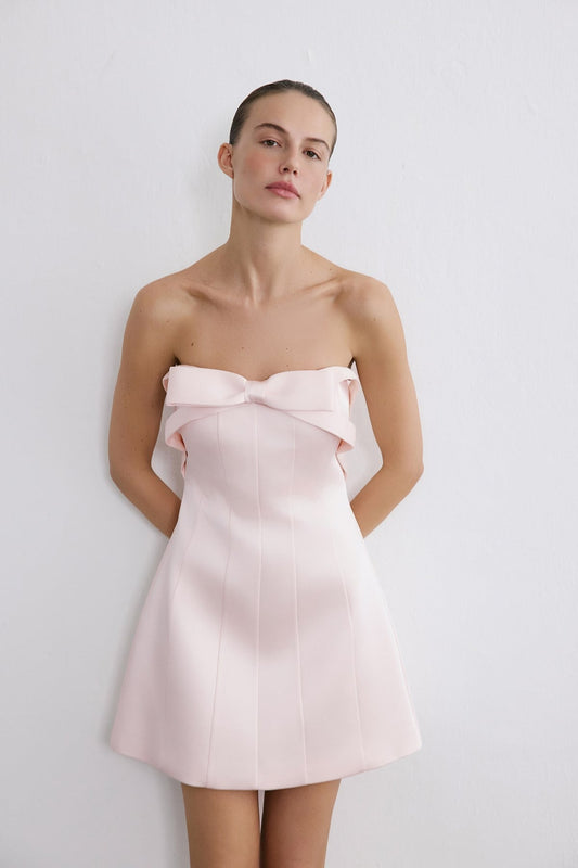 Strapless Bow Detail Mini  Dress
