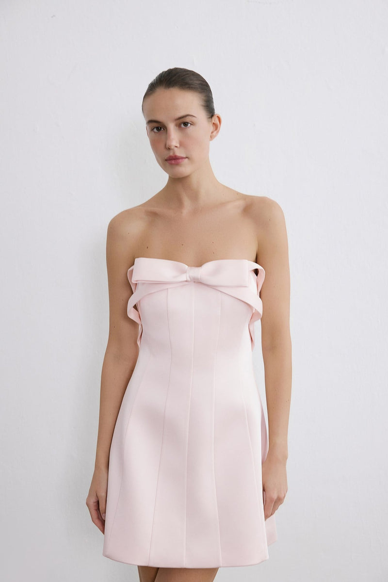 Strapless Bow Detail Mini  Dress