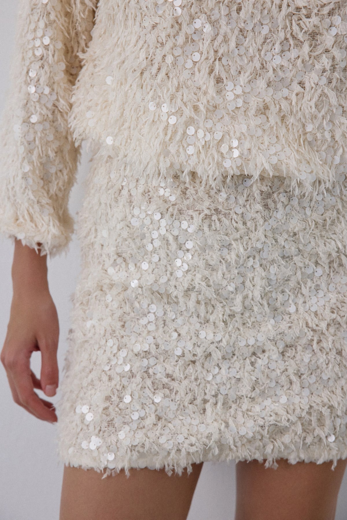 Textured Sequin Embroidered Mini  Skirt